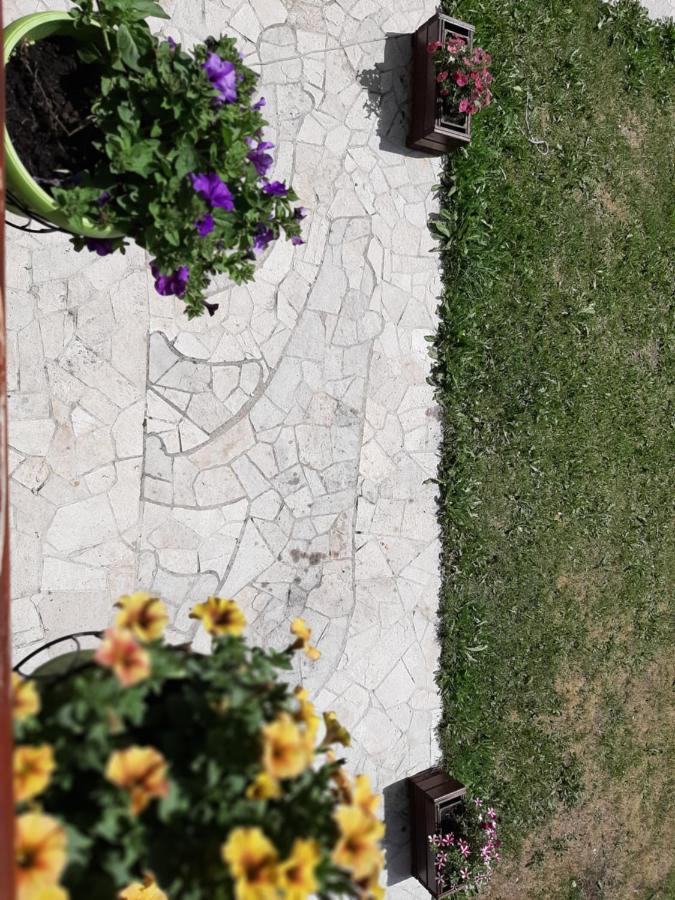 הוילה זבליאק Tanjuska מראה חיצוני תמונה